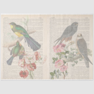 Ontwerp van de vogelreeks 6 tissuepapier