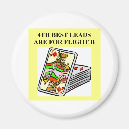 ontwerp van dubbele brugspeler magneet (Voorkant)