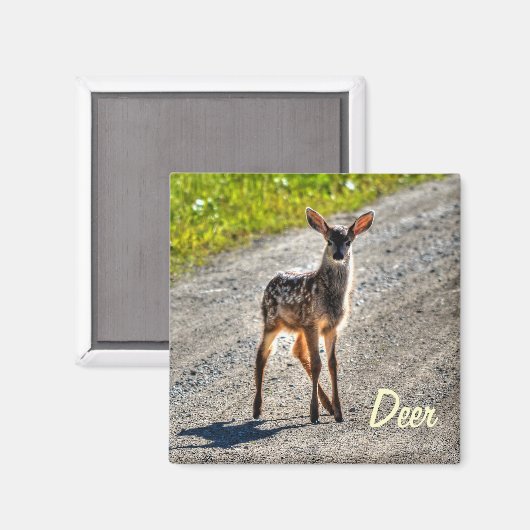 Ontwerp van een in het wild levende dieren bij man magneet (Voorkant / Achterkant)