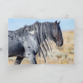 Ontwerp van een wilde rode woestijnhengst - Wenska Kaart (Binnen)