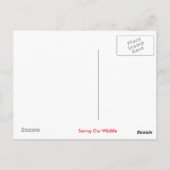 Ontwerp van Giraffe Briefkaart (Achterkant)