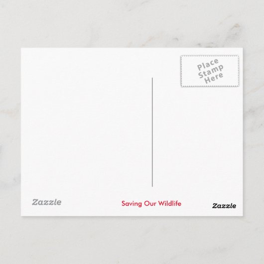 Ontwerp van Giraffe Briefkaart (Achterkant)