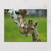 Ontwerp van Giraffe Briefkaart (Voorkant)