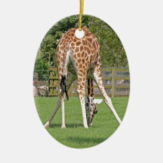 Ontwerp van Giraffe Keramisch Ornament (Voorkant)