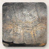 Ontwerp van Gopher Tortoise Shell Onderzetter (Voorkant)