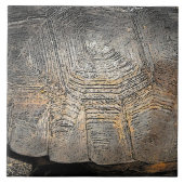 Ontwerp van Gopher Tortoise Shell Tegeltje (Voorkant)