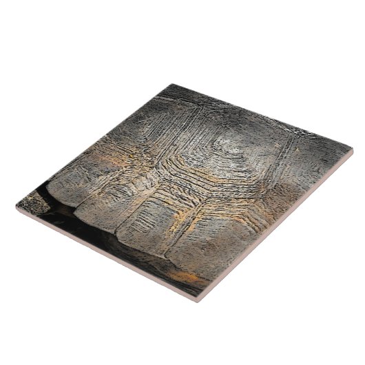 Ontwerp van Gopher Tortoise Shell Tegeltje (Zijkant)