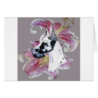 ONTWERP VAN HARLEQUIN DANE