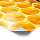 Ontwerp van het Honingraat- en bijenpatroon Foto Afdruk (Hoek)