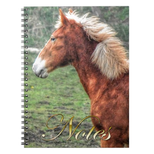 Ontwerp van het jongste palomino Colt Horse-lover Notitieboek (Voorkant)