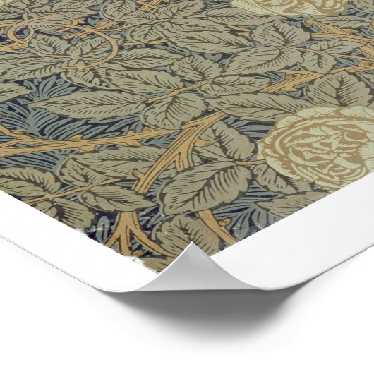 ontwerp van het "Roos" Poster (Hoek)