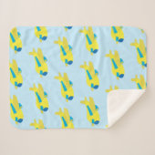 Ontwerp van het vliegtuig sherpa deken (Voorkant (horizontaal))