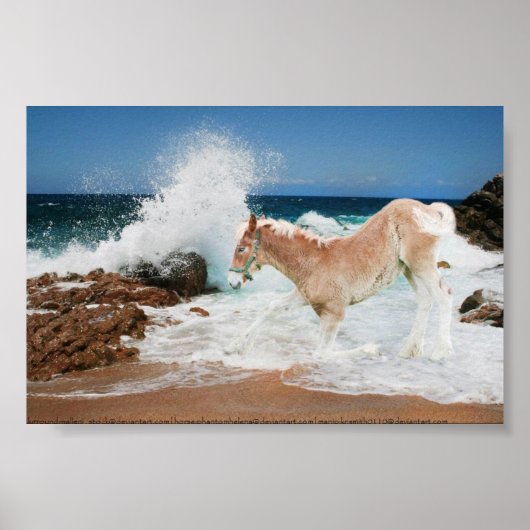 Ontwerp van het Zee Poster (Voorkant)