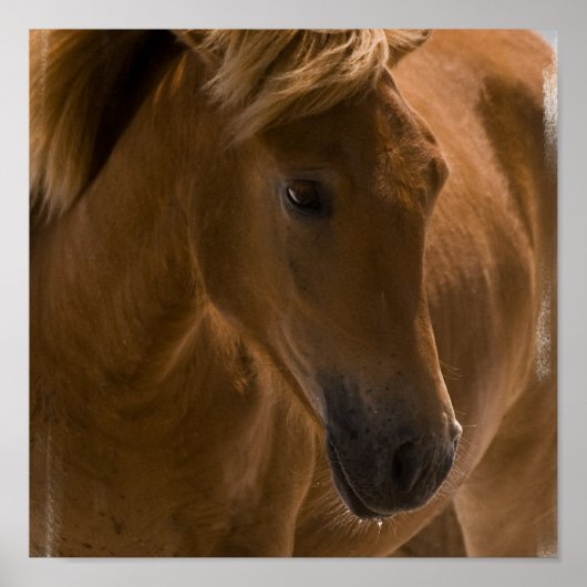 Ontwerp van kastanjepaarden poster (Voorkant)