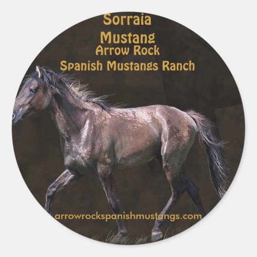 Ontwerp van paardenliefhebbers ronde sticker (Voorkant)