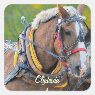 Ontwerp van paardenliefhebbers vierkante sticker