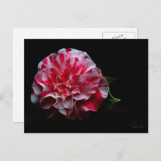 ontwerp van pepermint camellia briefkaart (Voorkant / Achterkant)