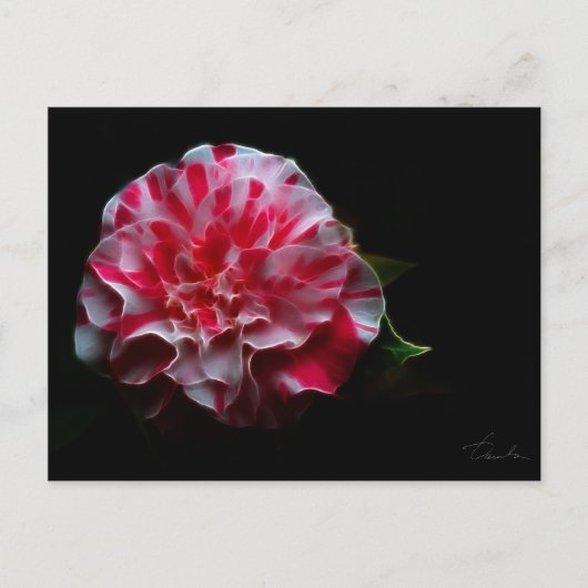 ontwerp van pepermint camellia briefkaart (Voorkant)