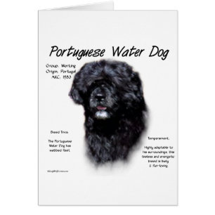 Ontwerp van Portugese waterhonden