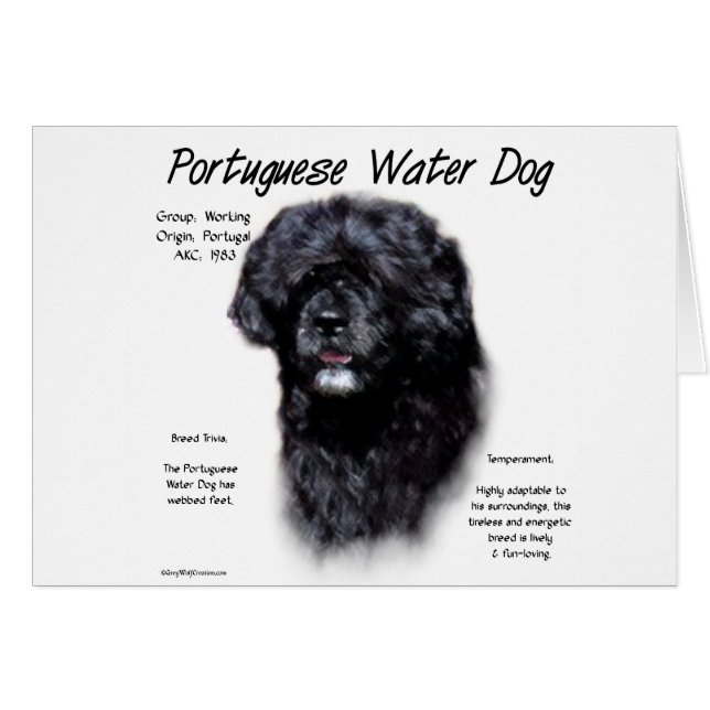 Ontwerp van Portugese waterhonden (Voorkant Horizontaal)