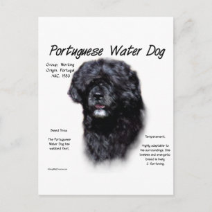 Ontwerp van Portugese waterhonden Briefkaart