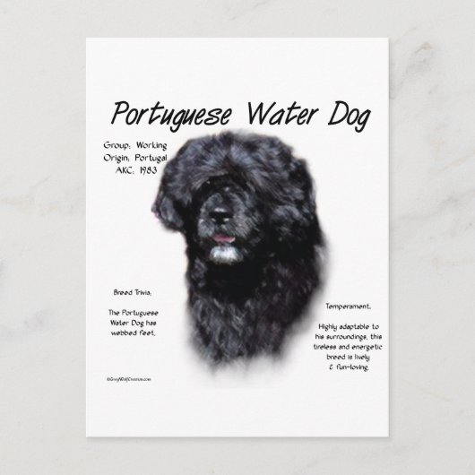 Ontwerp van Portugese waterhonden Briefkaart (Voorkant)