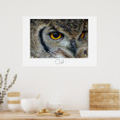 Ontwerp van Poster Owl (Keuken)