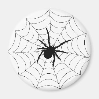Ontwerp van spinnenweb magneet