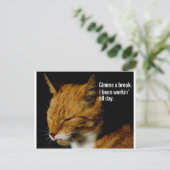 Ontwerp van verbonden katten - "Gimme a break." Briefkaart (Staand voorkant)