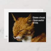 Ontwerp van verbonden katten - "Gimme a break." Briefkaart (Voorkant / Achterkant)