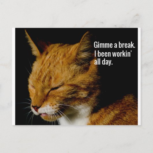 Ontwerp van verbonden katten - "Gimme a break." Briefkaart (Voorkant)