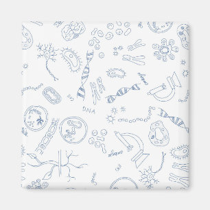 Ontwerp van wetenschappelijke biologie-diagrammen magneet