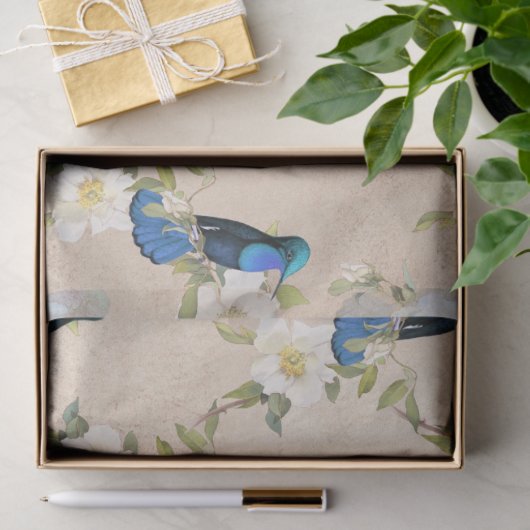Ontwerp vier Humming Birds reeks Tissuepapier (Geschenk)