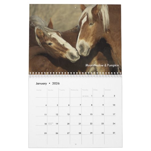 Ontwerpagenda voor paarden nr. 3 kalender (Jan 2026)