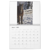 Ontwerpagenda voor paarden nr. 3 kalender (Mar 2027)