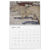 Ontwerpagenda voor paarden nr. 3 kalender (Feb 2027)