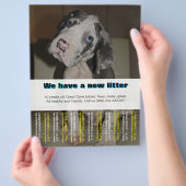 Ontwerper Puppy Verkoop Flyer (Hand)