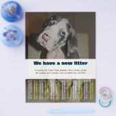 Ontwerper Puppy Verkoop Flyer (Enkel)