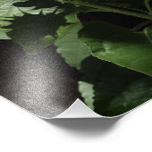 Ontwerper Reuzengele Zonnebloem op Donkere Omheini Foto Afdruk (Hoek)