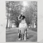 Ontwerper Tear off Great Dane Flyer (Achterkant)