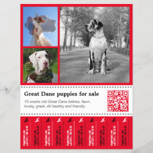 Ontwerper Tear off Great Dane Flyer