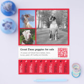 Ontwerper Tear off Great Dane Flyer (Enkel)