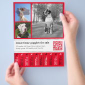 Ontwerper Tear off Great Dane Flyer (Hand)