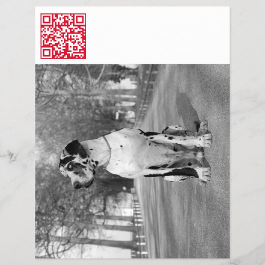 Ontwerper Tear off Great Dane Flyer (Achterkant)