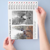 Ontwerper Tear off Great Dane Flyer (Hand)