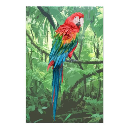 Ontwerpfoto van carlet Macaw Uitbreiding Foto Afdruk (Voorkant)