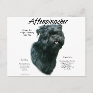 Ontwerpgeschiedenis affenpinscher briefkaart
