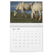 Ontwerpkalender voor paarden #2 kalender (Mar 2027)