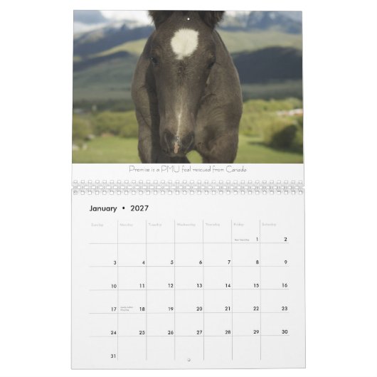 Ontwerpkalender voor paarden #2 kalender (Jan 2027)