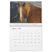 Ontwerpkalender voor paarden #2 kalender (Feb 2027)